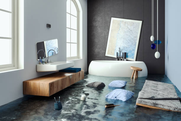 Best Water damage cleanup near me  in Carey, ID