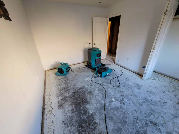 Best Water damage restoration experts  in Carey, ID
