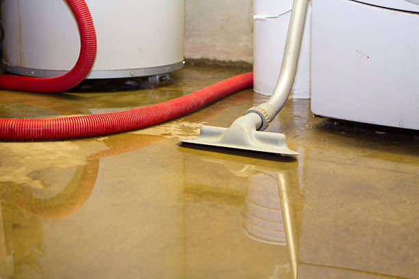 Best Flood damage cleanup  in Carey, ID