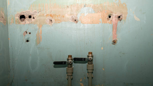 Best Professional water damage repair  in Carey, ID