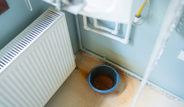 Best Local water damage restoration  in Carey, ID