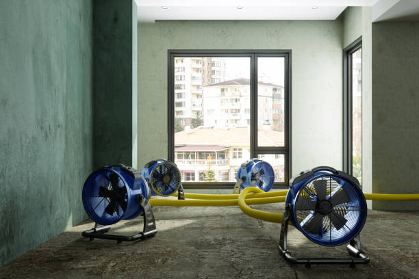 Best Water damage restoration near me  in Carey, ID